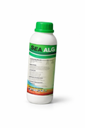 SeaAlg